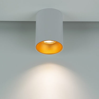 Detaillierte Ansicht Deckenleuchte weiß gold mit 1 Lichtspot 